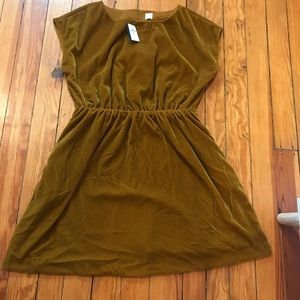Gap Velvet Dress